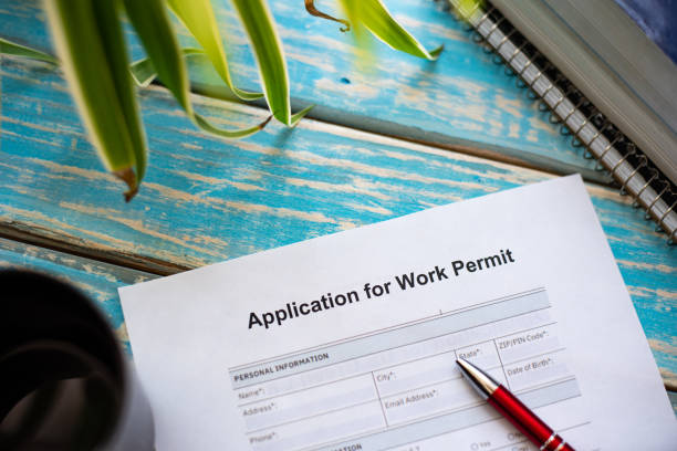 How Long Does A Work Permit Takes To Process