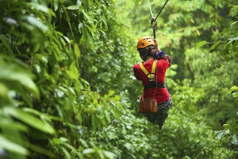 Things to do in Jaco, Costa Rica Rainforest