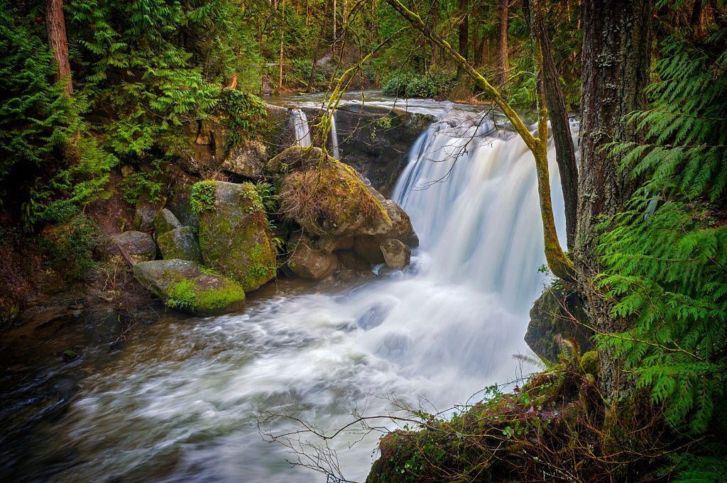 Whatcom Falls Park 