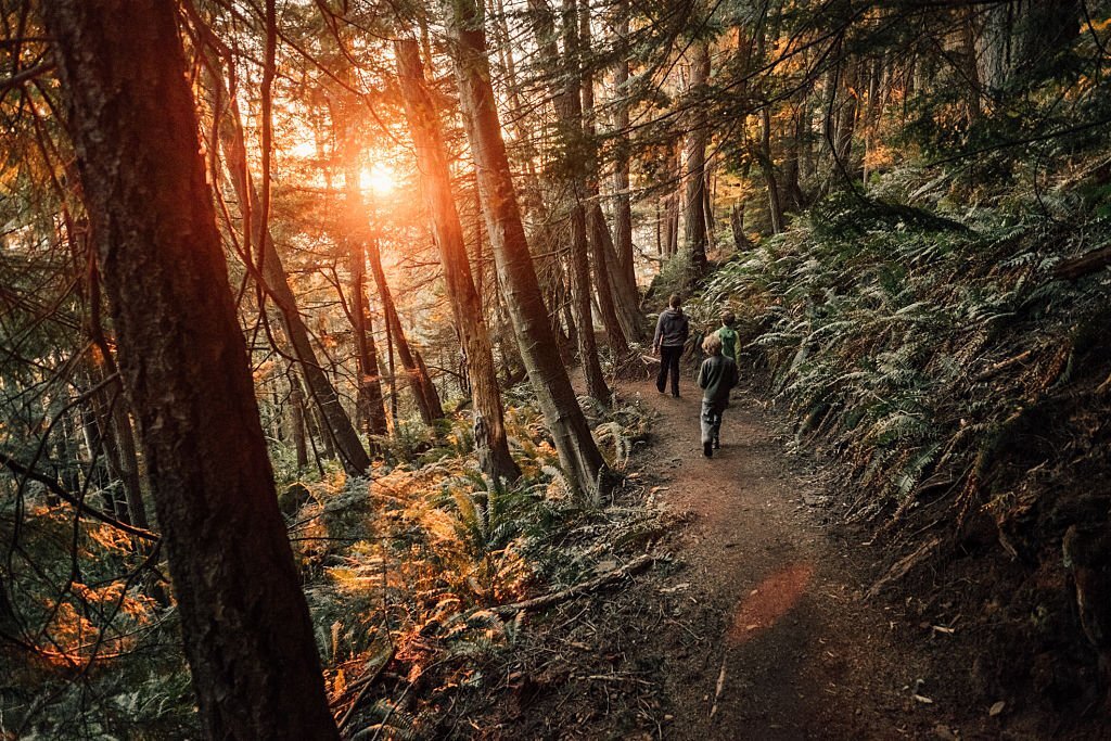 Chuckanut Mountains