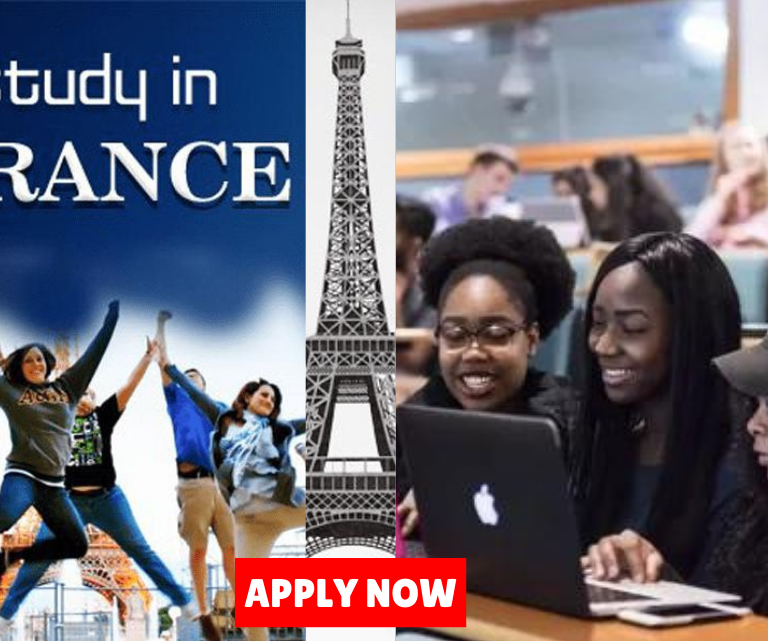 Top 12 Scholarships in France for Foreign Students 2025