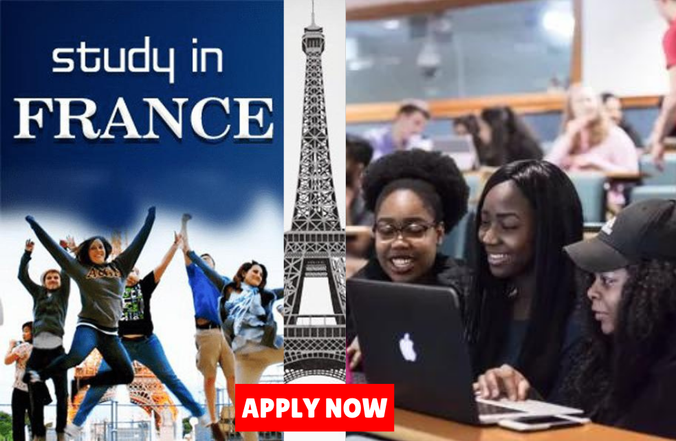 Top 12 Scholarships in France for Foreign Students 2025